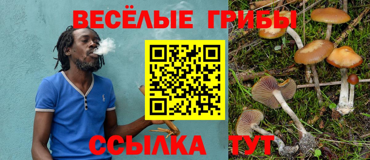 Горно-Алтайск  Галлюциногенные грибы мухоморы  Псилоцибиновые грибы Magic Shrooms  Вход с VPN 