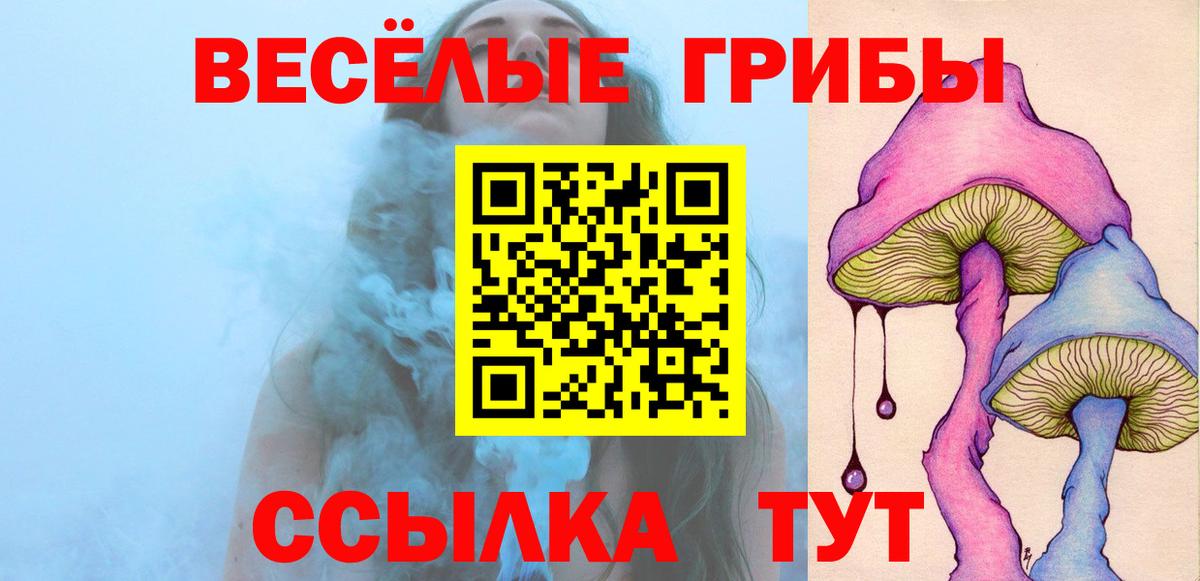 Псилоцибиновые грибы мухоморы Горно-Алтайск